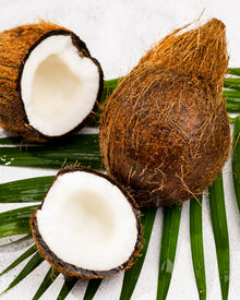 Coconut