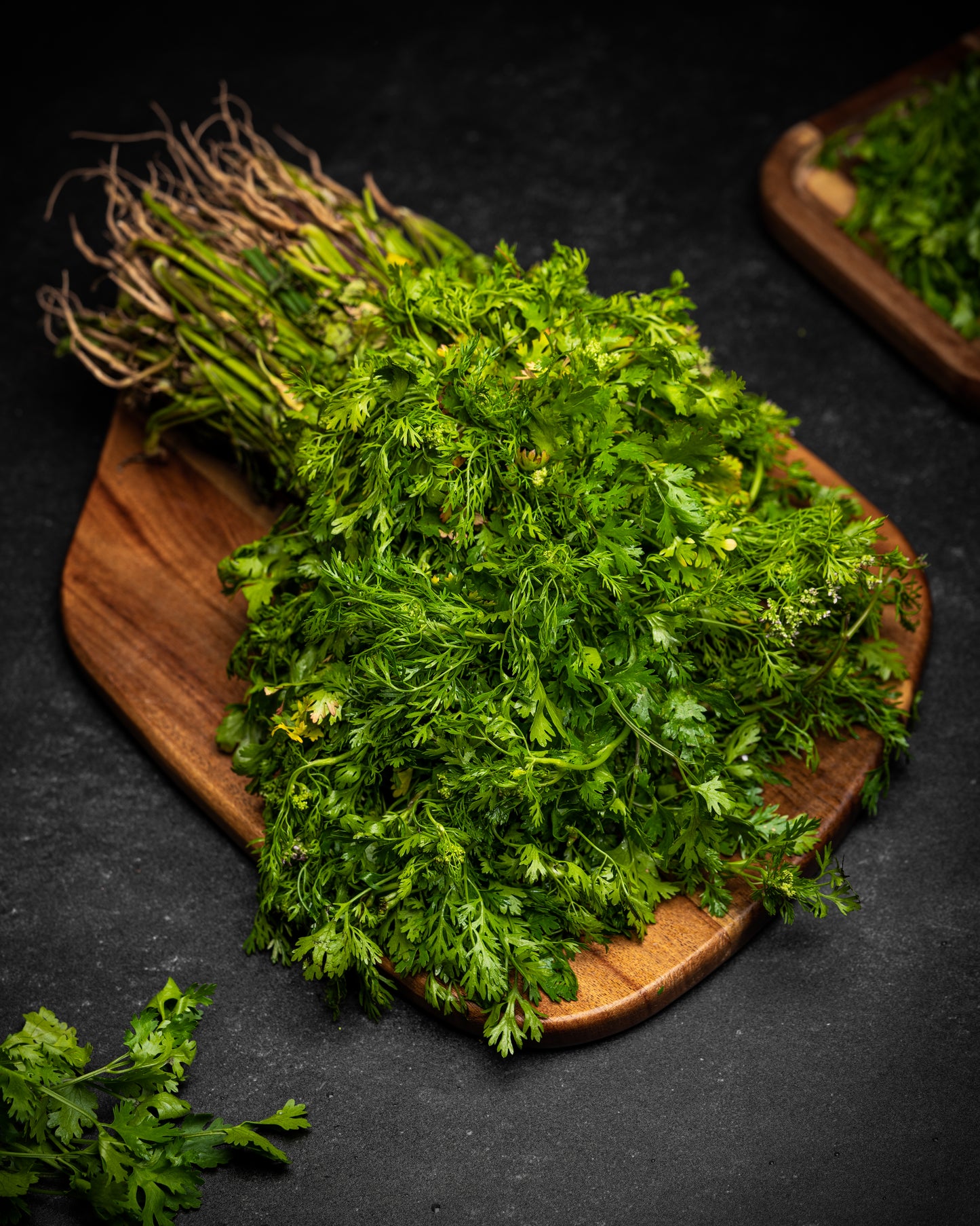 Coriander Bunch (Dhaniya Patta)