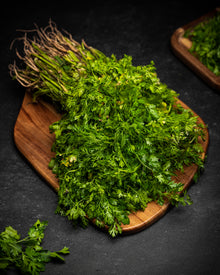 Coriander Bunch (Dhaniya Patta)