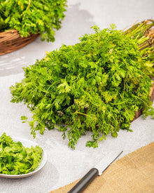 Coriander Bunch (Dhaniya Patta)