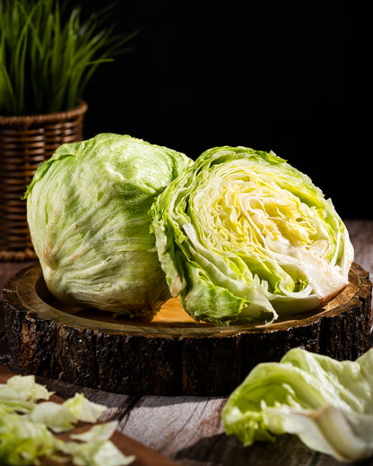 Iceberg Lettuce