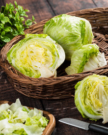 Iceberg Lettuce