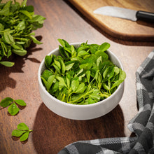 Fenugreek (Methi)