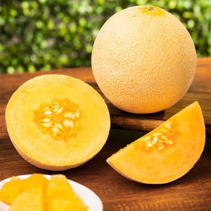 Muskmelon