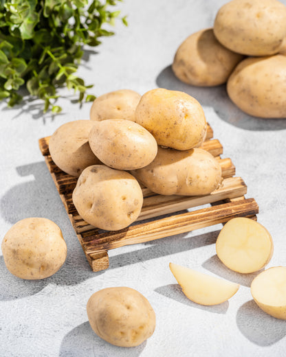 Potato