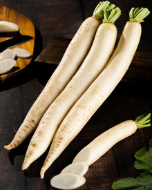 White Radish