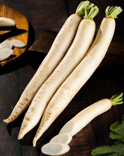 White Radish