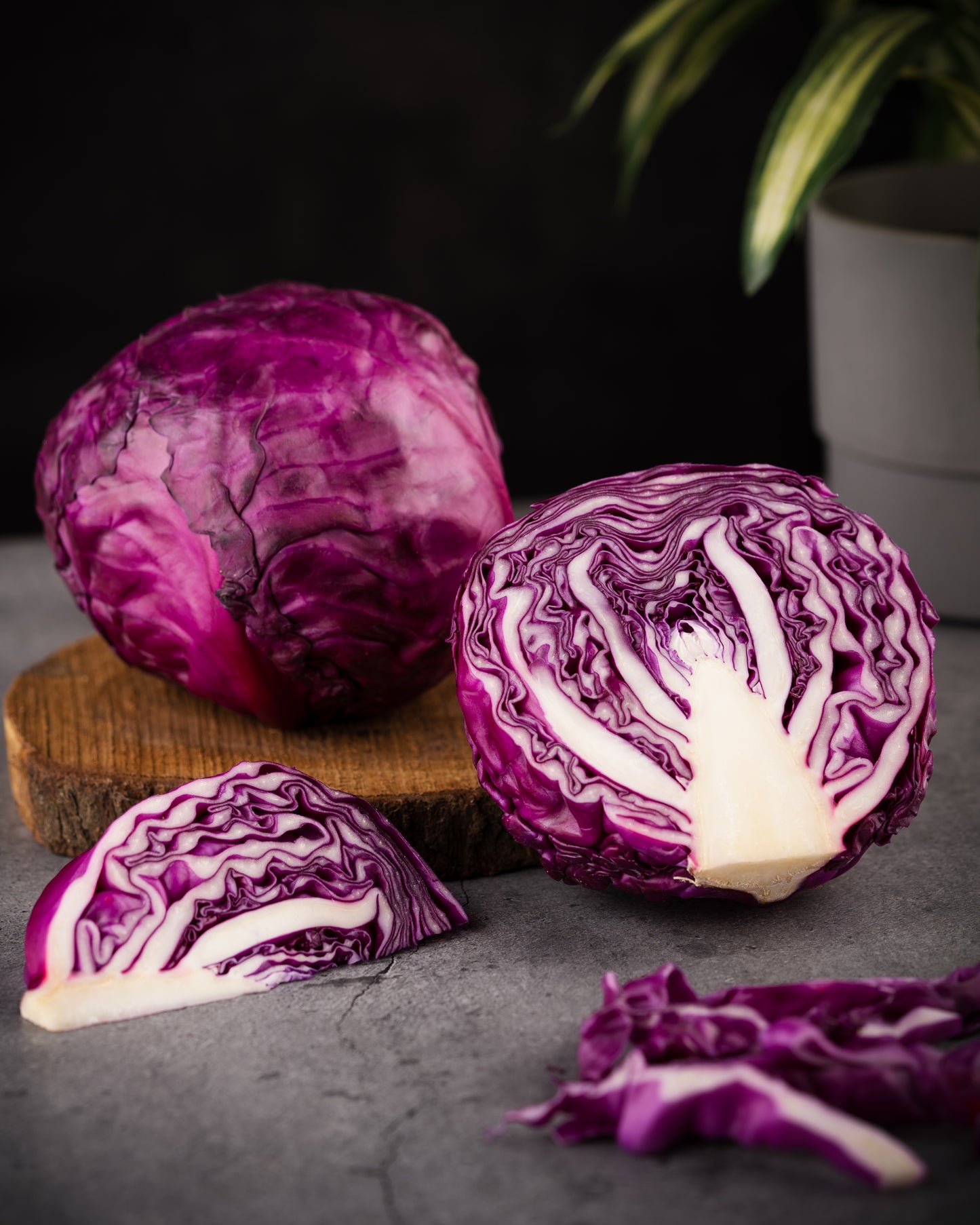Red Cabbage