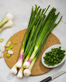 Spring Onion