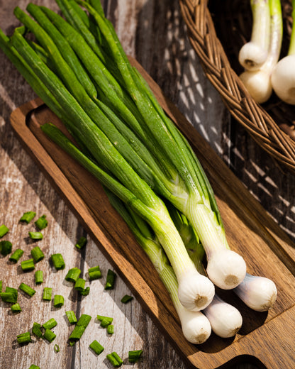 Spring Onion