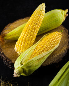 Sweet Corn