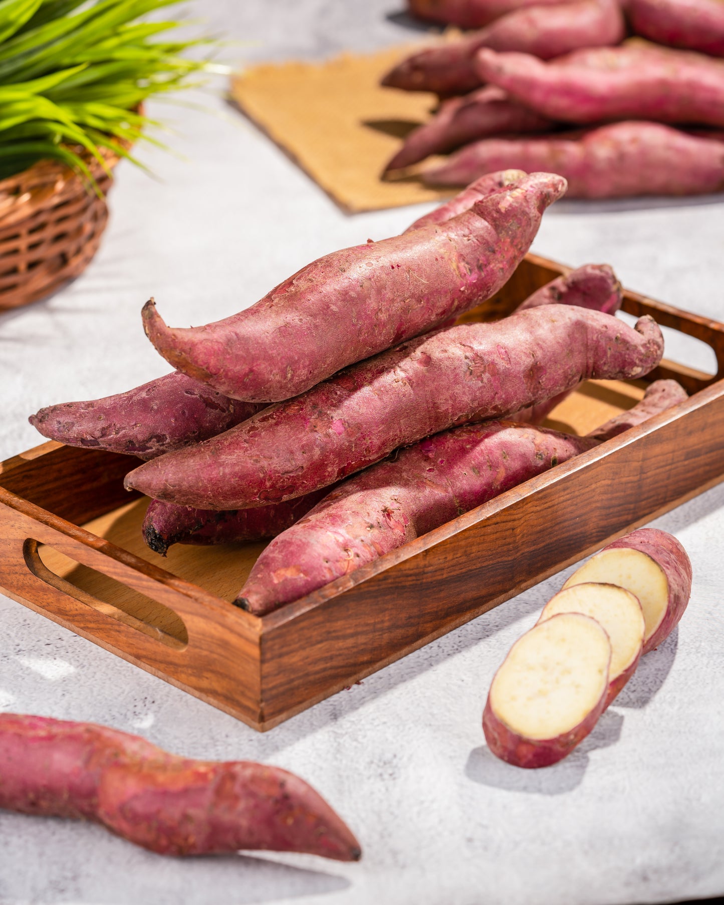 Sweet Potato
