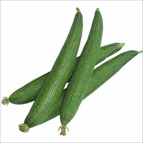Sponge Gourd