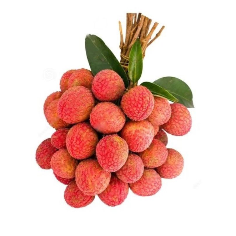 Litchi