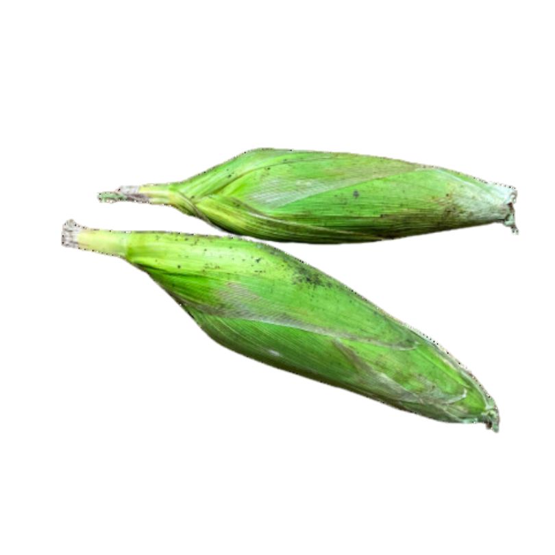 Sweet Corn