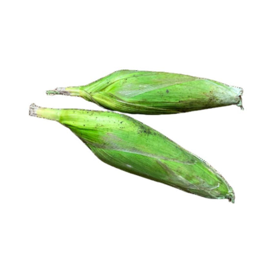 Sweet Corn
