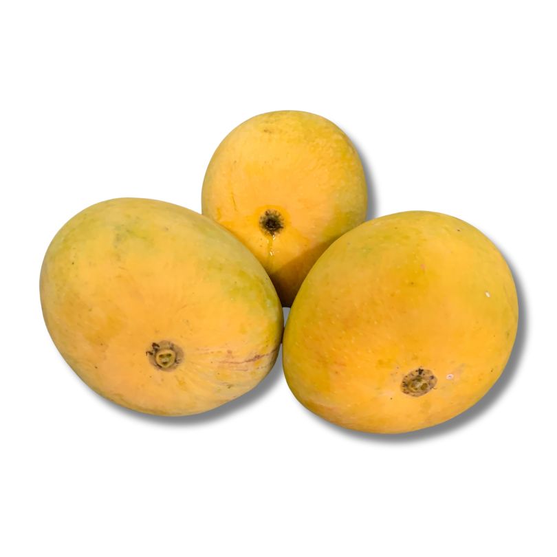 Alphonso Mango