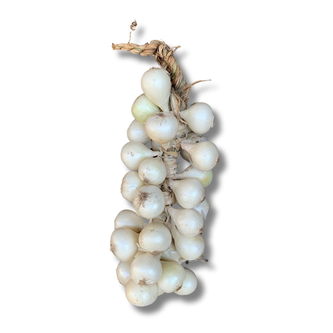 White Onion