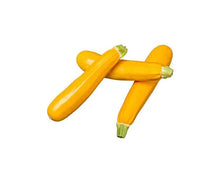 Yellow Zucchini