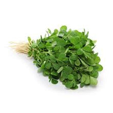Fenugreek (Methi)